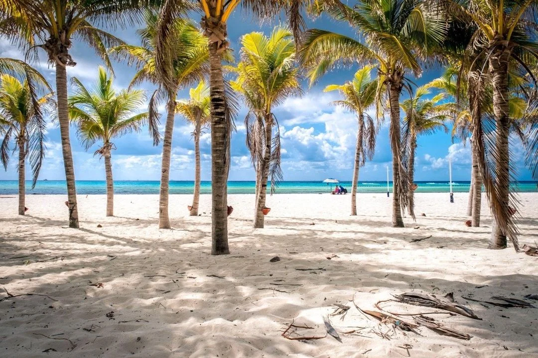 🇲🇽 Russian Speakers in Playacar