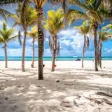 🇲🇽 Hablantes de ruso en Playacar